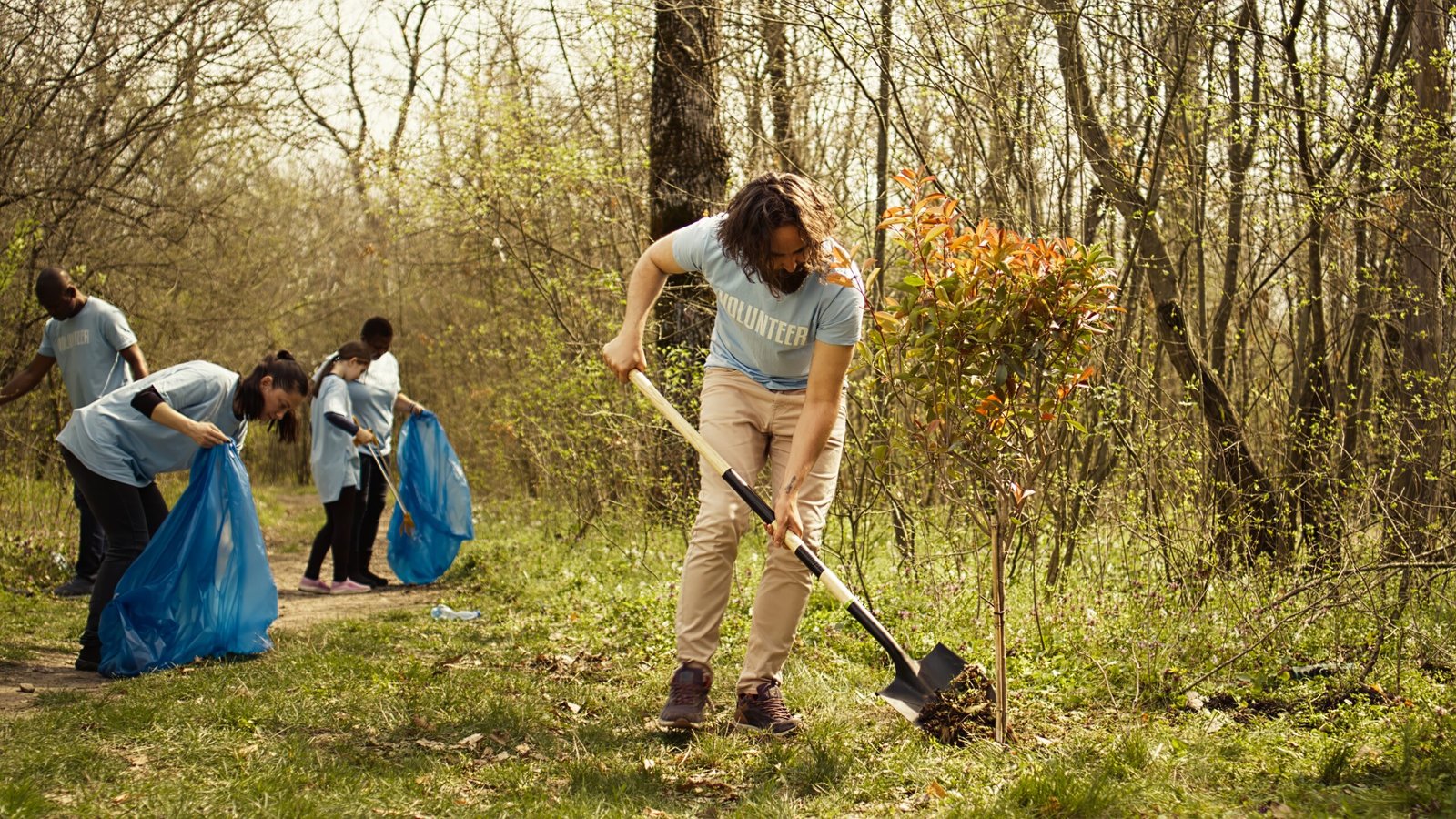 Spring cleanup services